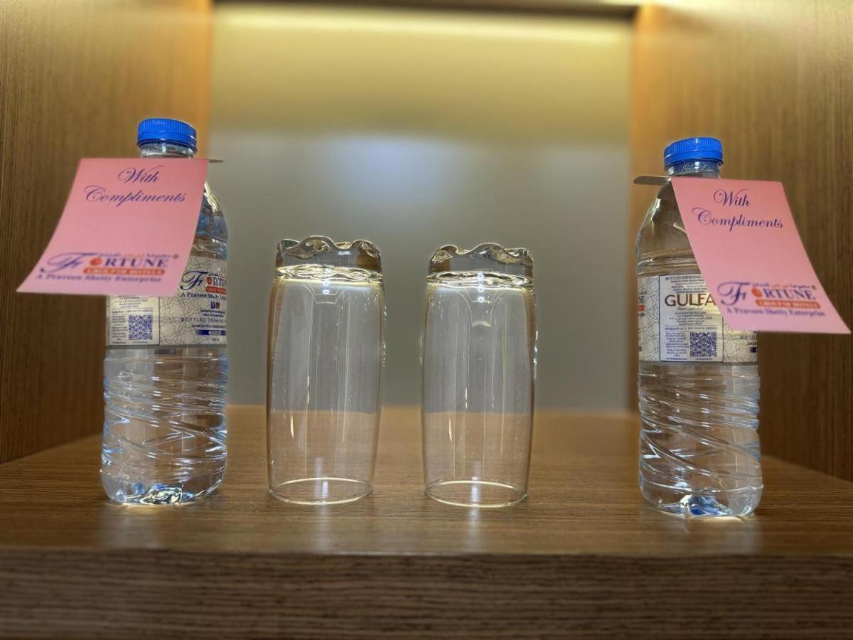 财富德拉酒店 迪拜 外观 照片